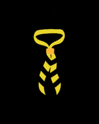 Mintaka GIF by Escoltes Catalans