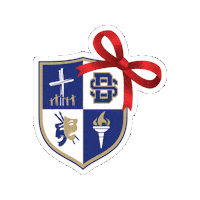 Dsa Sticker by Divine Savior Academy