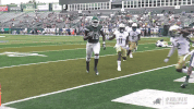 football athletics GIF by GreenWave