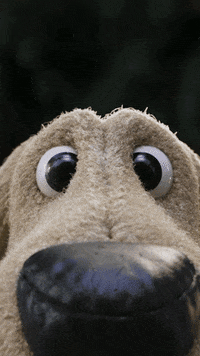 GIF by ASN Bank
