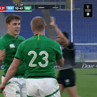 Irish Rugby GIF by Guinness Six Nations