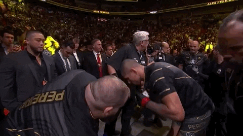 Sport GIF by UFC
