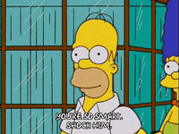 homer simpson GIF