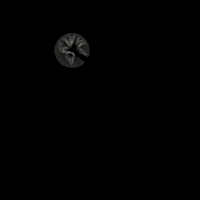 Superzonasul GIF by Zona Sul