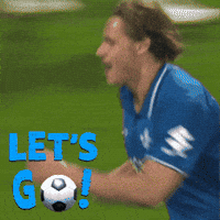 Sv Darmstadt 98 Bundesliga GIF