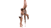 Butterfly Pole Sticker by CirqFIT