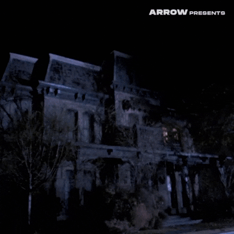 Sexy Drag Queen GIF by Arrow Video