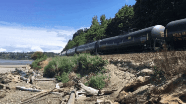 johncryan3 giphygifmaker giphygifmakermobile kuow pugetsound GIF