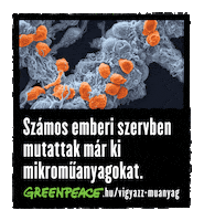 Egeszseg Vege Sticker by Greenpeace Hungary