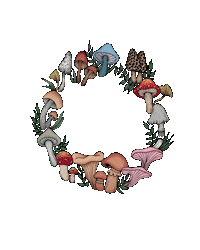 StudioMonday mushroom studiomonday studio monday boho mushroom Sticker