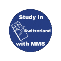 Switzerland Oversea Sticker by MMS