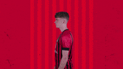 Football Celebrating GIF by AFC Bournemouth