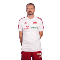 Pzps Sticker by Polska Siatkowka