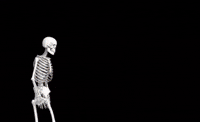 Outcome Memories GIF
