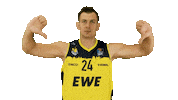Ewe Baskets Basketball Sticker by EWE Baskets Oldenburg