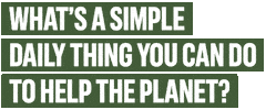 Sustainability Wimbledon Sticker by adidas