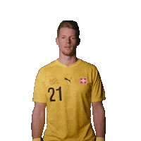 Switzerland Suisse Sticker by Swiss Football Association