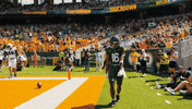 Baylor Bears Sic Em GIF by Baylor Athletics