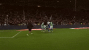 Geoffroy-Guichard Joie GIF by AS Saint-Étienne