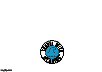 Water Ocean Sticker by Travel With Meaning