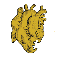 elfantasma love heart amor corazon Sticker