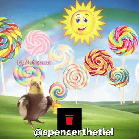 Bird Parrot GIF