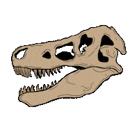 T Rex Skull Sticker by Field Museum