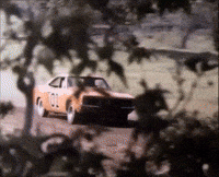 Dukes Of Hazzard Television GIF