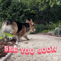Happy See You Soon GIF