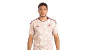 World Cup Mexico Sticker by MiSelecciónMX