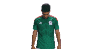 World Cup Futbol Sticker by MiSelecciónMX