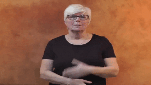 British Sign Language Deaf Awareness GIF by Famlingo