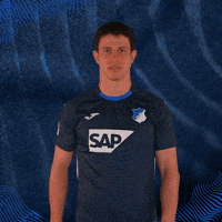 Sport Bundesliga GIF by TSG Hoffenheim