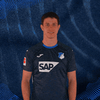 Sport Bundesliga GIF by TSG Hoffenheim