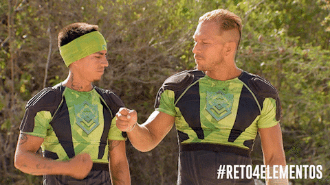 pound it tv show GIF by Tiny Horse LLC