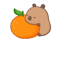 Happy Orange Fruit Sticker