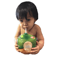 Coconut Sticker