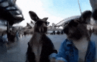 Kk What GIF