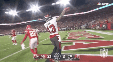 Tampa Bay Buccaneers Football GIF by NFL