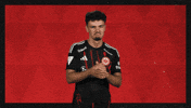 Eintracht Frankfurt Applause GIF by Bundesliga