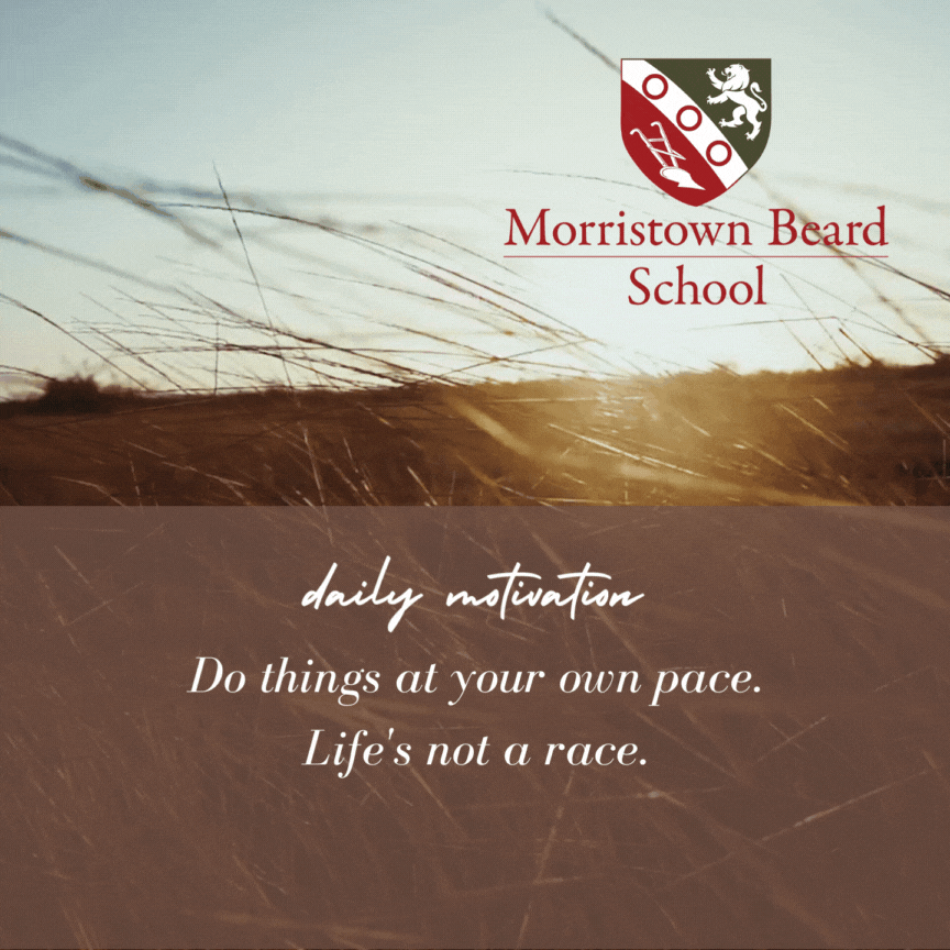 MorristownBeardSchool  GIF
