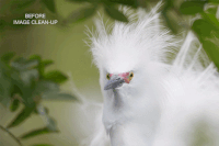 art as arthur slot brokengifs GIF