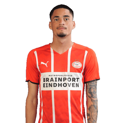 Celebrate Luis Felipe Sticker by PSV