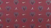 Volleyball Wildcats GIF by CWU Athletics