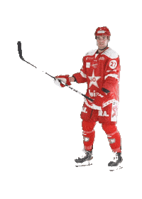 Stjernen Elite Sticker by StjernenHockey
