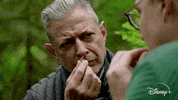 Episode 2 GIF by The World According to Jeff Goldblum | Disney+