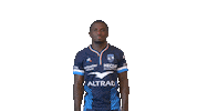 Celebration Top14 Sticker by Montpellier Hérault Rugby