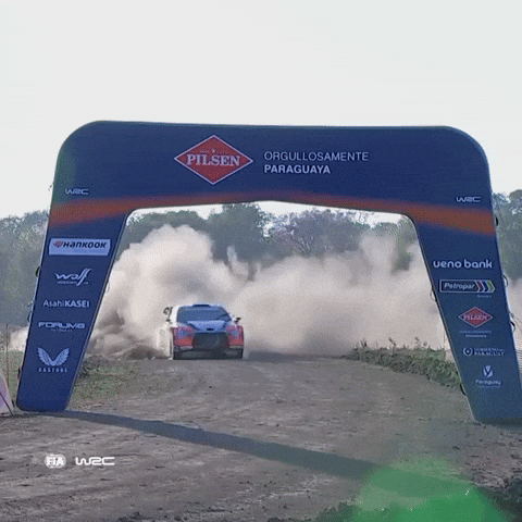 Wrc GIF by FIA World Rally Championship