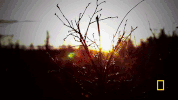 lifebelowzero GIF by National Geographic Channel