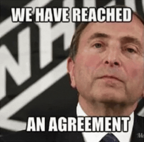 Gary Bettman Agree GIF